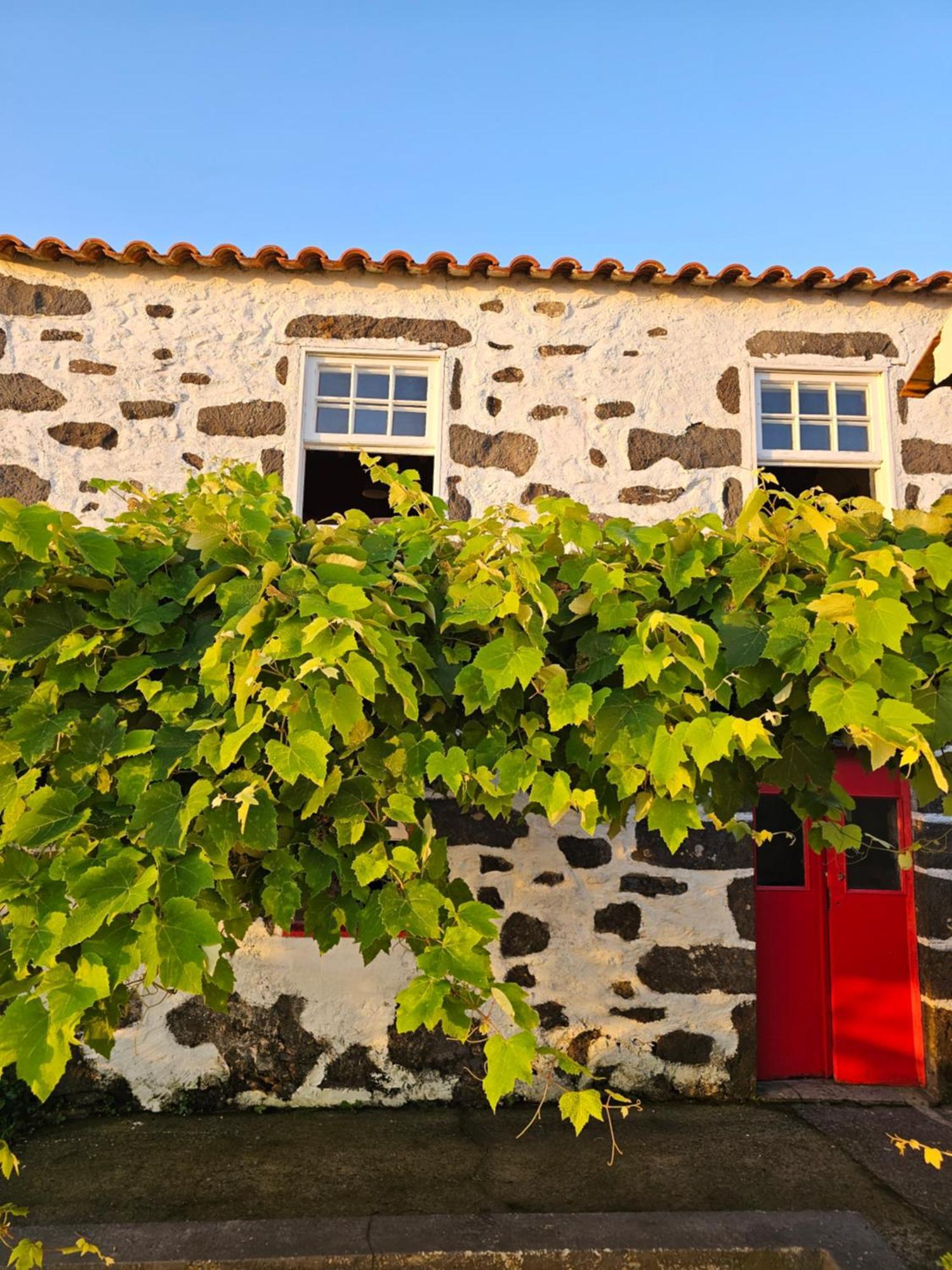 Casa Anjos Holiday Cottages Cedros 外观 照片