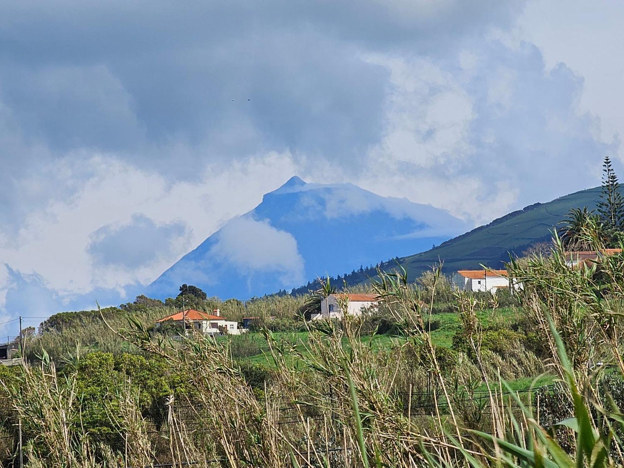 Casa Anjos Holiday Cottages Cedros 外观 照片